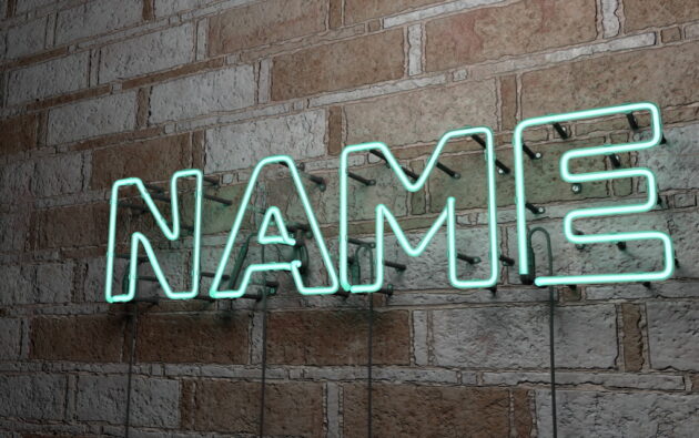 Nazwa firmy lub domeny od nazwiska