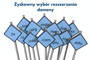 Zyskowny wybór rozszerzenia domeny