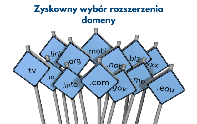 Zyskowny wybór rozszerzenia domeny