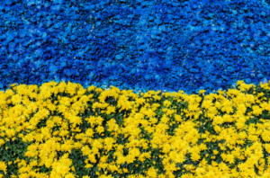 ICANN nie unieważni rosyjskich domen ukraińska flaga